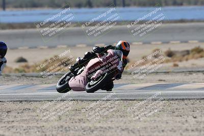 media/Nov-16-2025-Race Pace (Sun) [[8c5fa54630]]/Verified Riders/3-Turn 14 (1045am)/